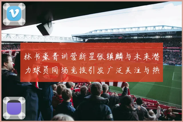 林书豪青训营新星张镇麟与未来潜力球员同场竞技引发广泛关注与热议